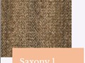 Saxony1
