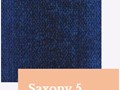 Saxony5