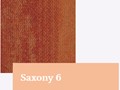 Saxony6