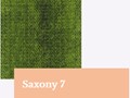 Saxony7
