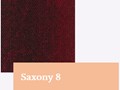 Saxony8