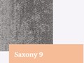 Saxony9