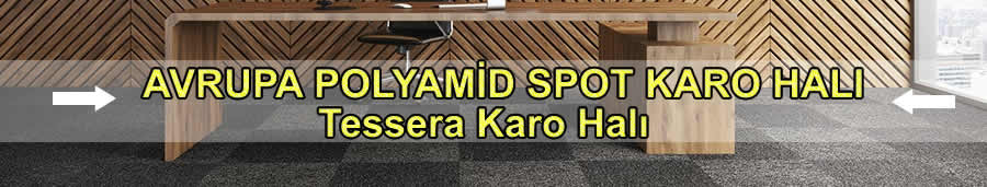 avrupa spot polyamid karo halı
